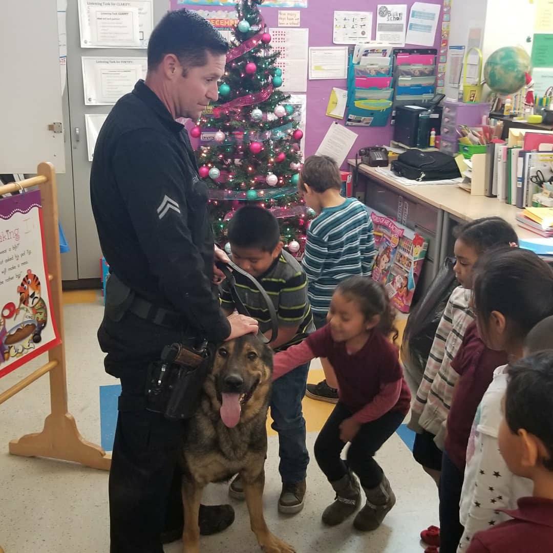 It was a K9 Christmas-1